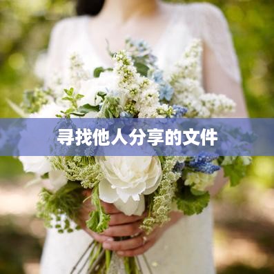 百度网盘如何寻找他人分享的文件，探索与指南
