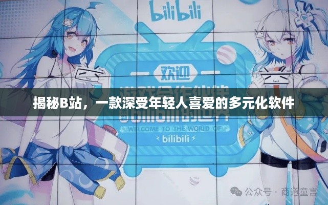 揭秘B站，一款深受年轻人喜爱的多元化软件