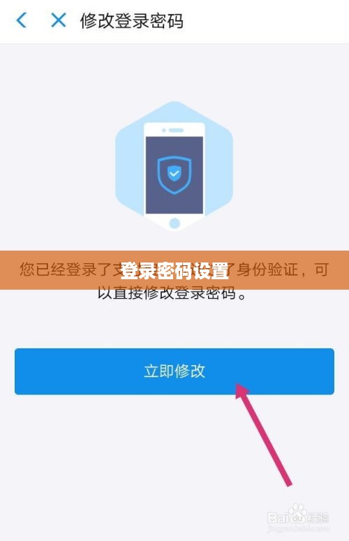支付宝登录密码设置指南