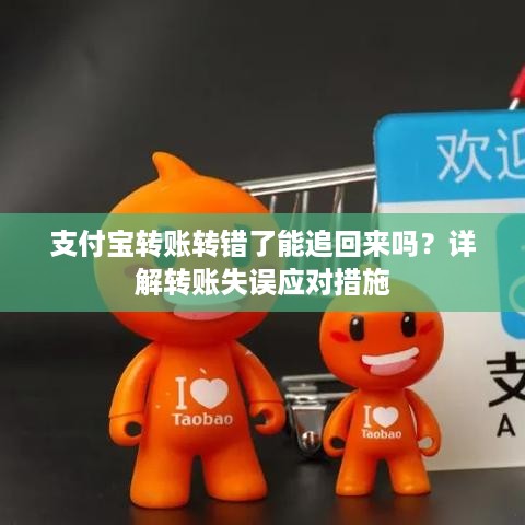 支付宝转账转错了能追回来吗？详解转账失误应对措施