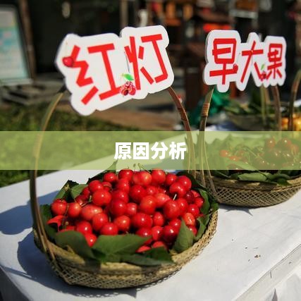 二维码识别不出来的原因分析