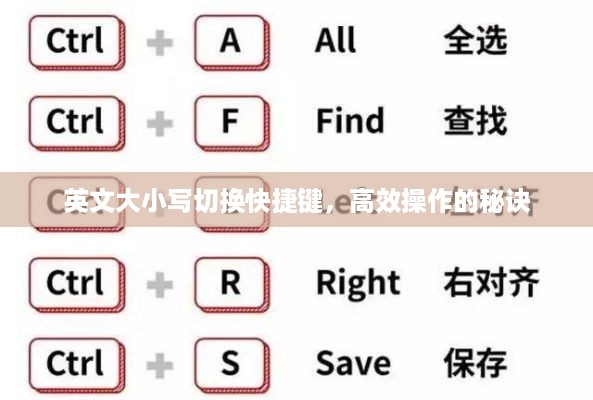 英文大小写切换快捷键，高效操作的秘诀
