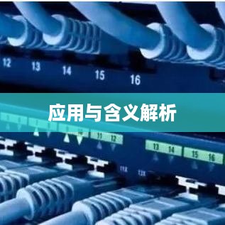 深入理解DHCP动态获取技术，解析动态获取DHCP的含义与应用