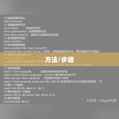 如何查询电脑本机IP地址