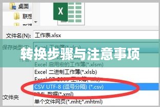 如何将DAT文件转换为Excel，详细步骤与注意事项