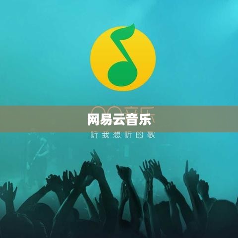 如何关闭网易云音乐的自动续费功能