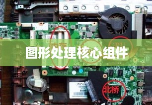 显卡的作用，解析图形处理的核心组件