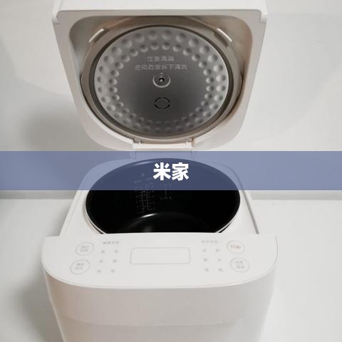 米家是小米的品牌吗—深度解析