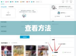 如何查看B站UID