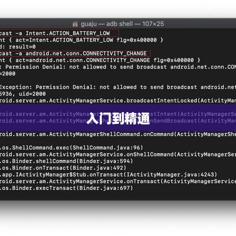 Shell脚本的执行，从入门到精通