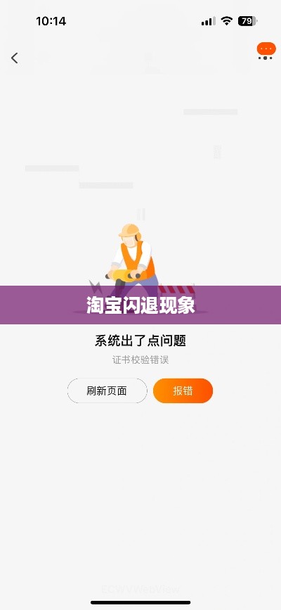 淘宝闪退现象深度解析，原因、影响与解决方案