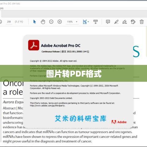 扫描全能王，将图片轻松转化为PDF格式  第1张