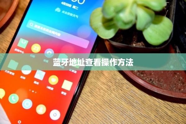 联想Z6 Pro查看蓝牙地址的详细操作方法详解