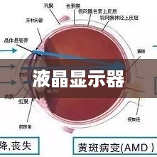 液晶显示器如何有效避免眼睛疲劳—使用指南