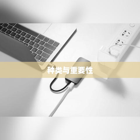 揭秘外设，定义、种类与重要性