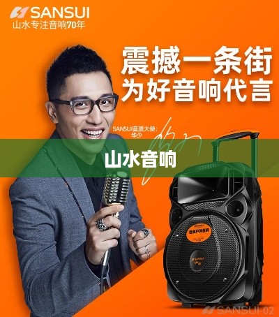 山水音响与话筒的连接指南
