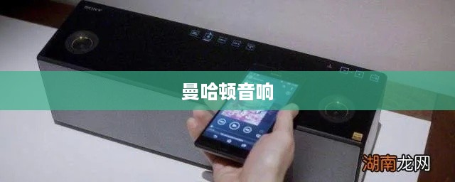曼哈顿音响连接手机蓝牙的详细步骤指南