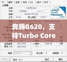 奔腾G620，支持Turbo Core的技术解析