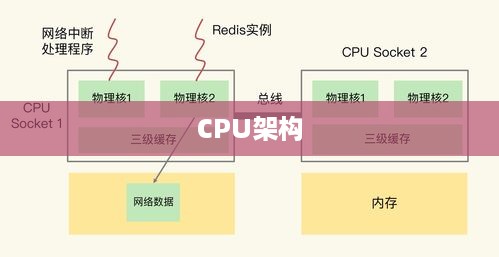 Intel与AMD的CPU，架构、性能与差异分析  第1张
