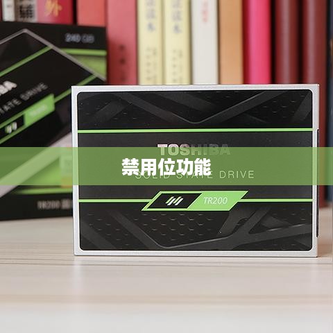 酷睿i5 2320处理器支持执行禁用位功能吗？