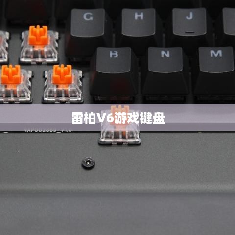 雷柏V6游戏键盘性能评测