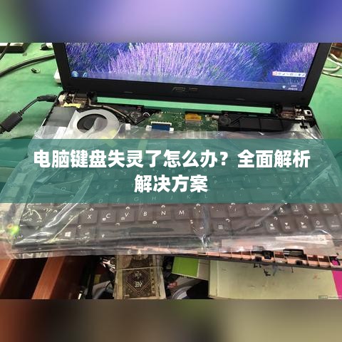 电脑键盘失灵了怎么办？全面解析解决方案