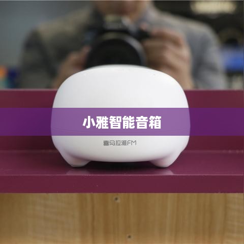 小雅智能音箱绑定手机教程，详细步骤指南