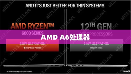 AMD A6处理器性能解析，一款怎样的处理器？