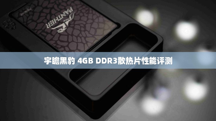 宇瞻黑豹 4GB DDR3散热片性能评测