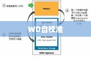 WD自校准，概念介绍与技术解析
