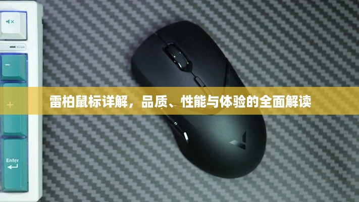 雷柏鼠标详解，品质、性能与体验的全面解读