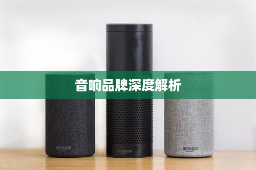 音响品牌深度解析，哪个品牌音响更胜一筹？音响品牌推荐详解