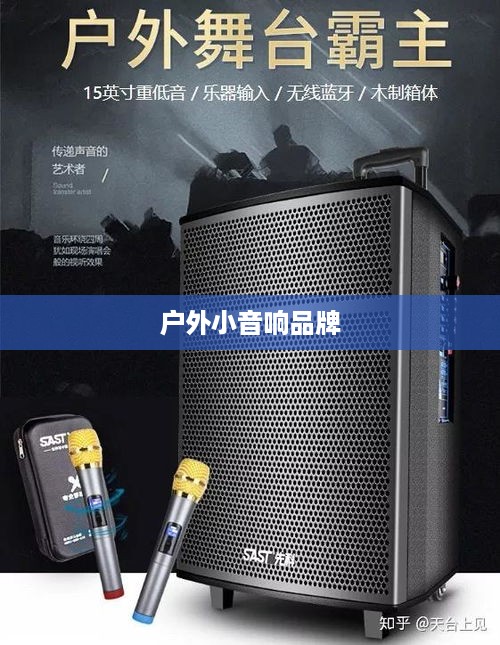 户外小音响品牌深度解析，哪些品牌表现卓越？  第1张