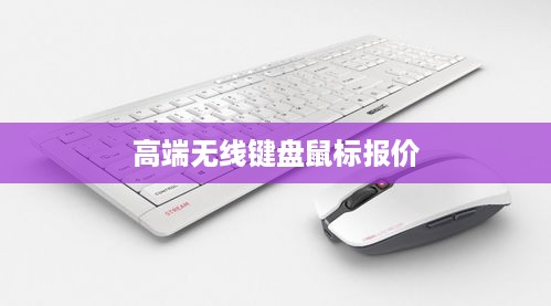 高端无线键盘鼠标报价及市场深度解析