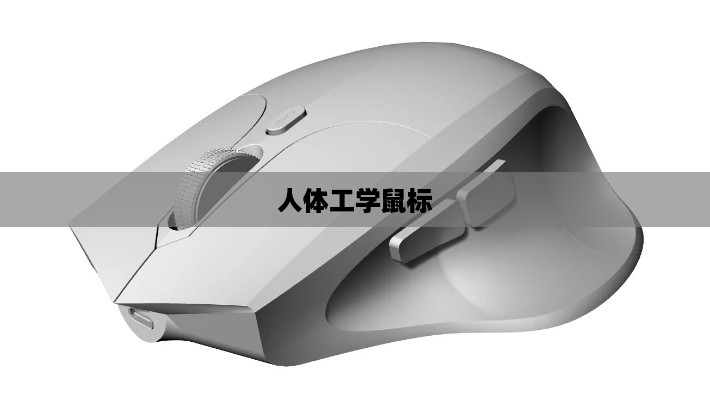人体工学鼠标哪款好？四大热门推荐详解