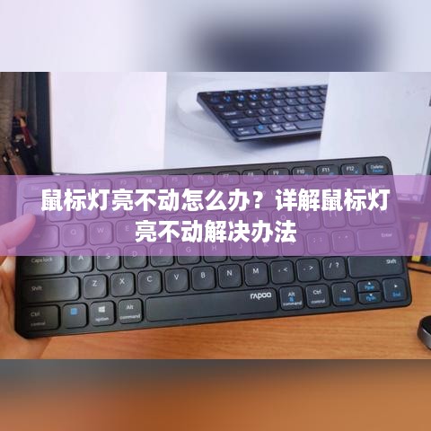 鼠标灯亮不动怎么办？详解鼠标灯亮不动解决办法