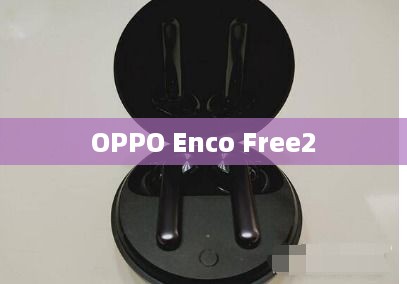 OPPO Enco Free2 恢复出厂设置教程