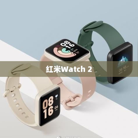 红米Watch 2的防水性能解析