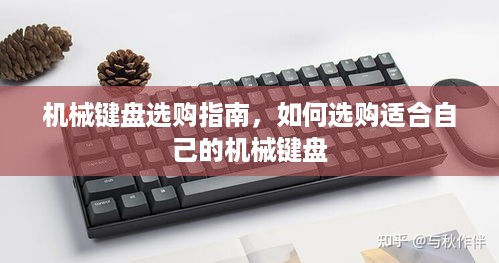 机械键盘选购指南，如何选购适合自己的机械键盘