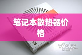 笔记本散热器价格及其相关因素探讨  第1张