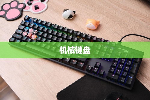 机械键盘与静电容键盘，深度解析与对比探讨