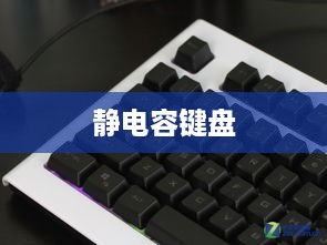 静电容键盘，探索艾芮克Ta-70静电容键盘的奥秘（详解）  第1张