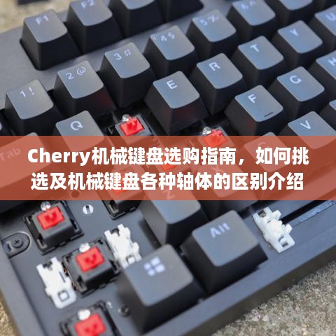 Cherry机械键盘选购指南，如何挑选及机械键盘各种轴体的区别介绍  第1张