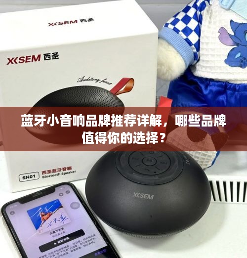 蓝牙小音响品牌推荐详解，哪些品牌值得你的选择？