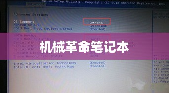 机械革命笔记本如何使用BIOS设置硬盘模式为AHCI模式教程  第1张