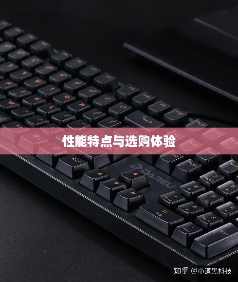 机械键盘全面解析，性能、特点、选购与使用体验