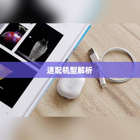 vivo TWS Neo无线耳机的连接方法与适配机型解析