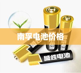南孚电池价格及产品信息参考