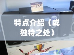 雅佳音响特点介绍，详解其独特之处