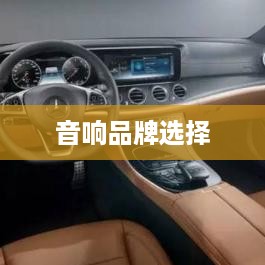 家用音响品牌选择与选择技巧详解，哪个牌子好？如何选购适合自己的音响？